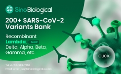 重组SARS-CoV-2变异库